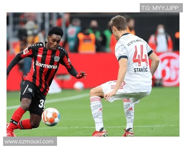 霍芬海姆与勒沃库森比赛比分深度分析及战术解读